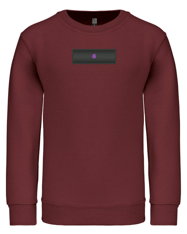 Le Bro'Sweat Col Rond Enfant Bordeaux